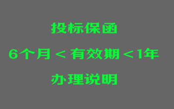 投标保函有效期超过6个月办理说明和案例图